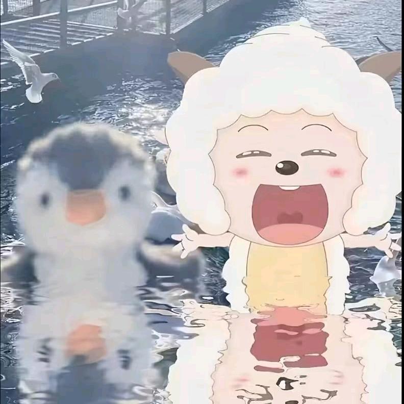 念念⌯˃ ᵕ ˂⌯ಣ