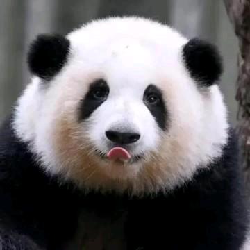 🇨🇳财神爷的心尖宠