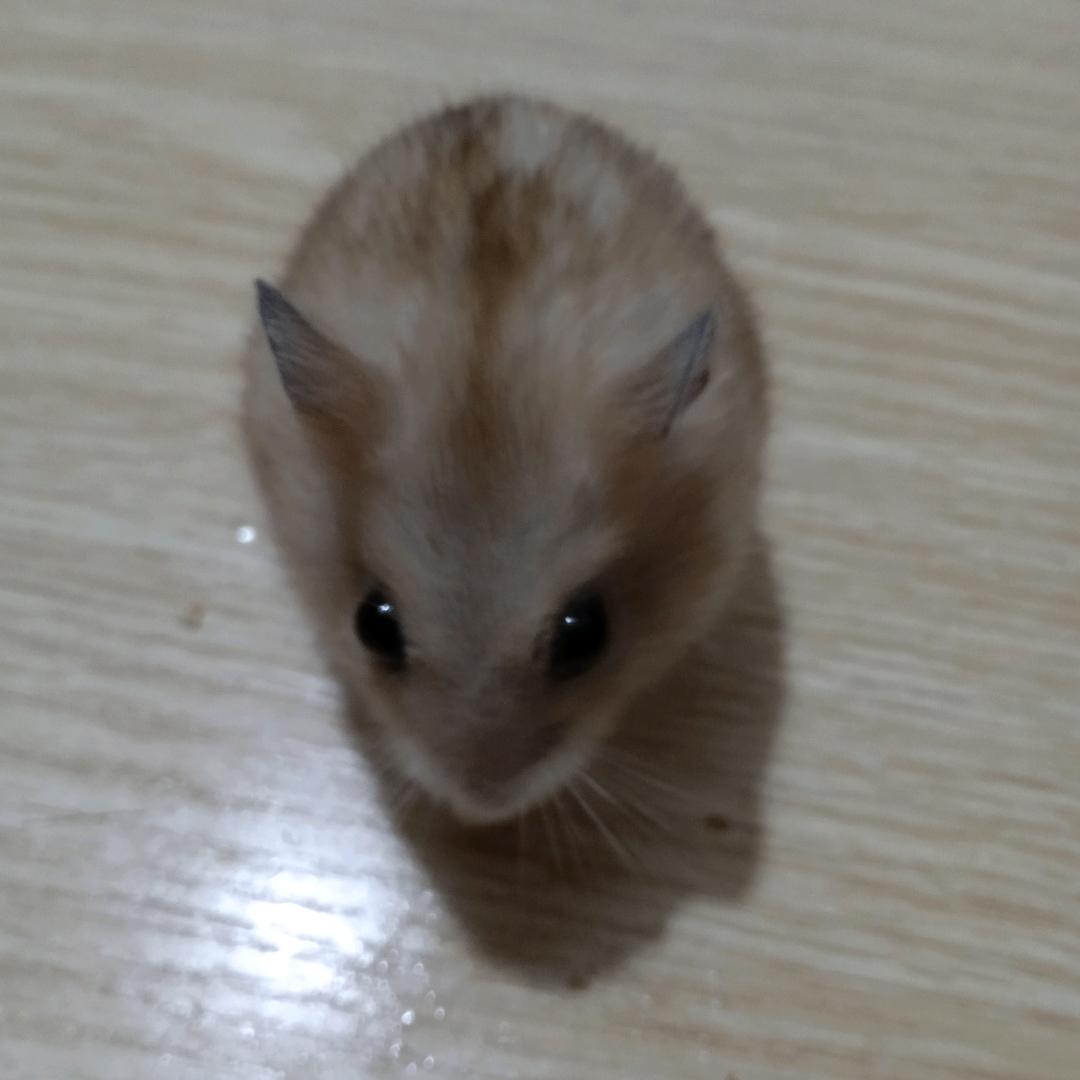 灰色。~