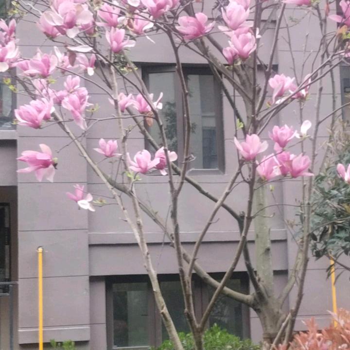 冉姐