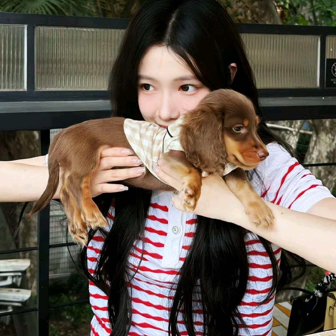 维尼熊的蜂蜜窝✨