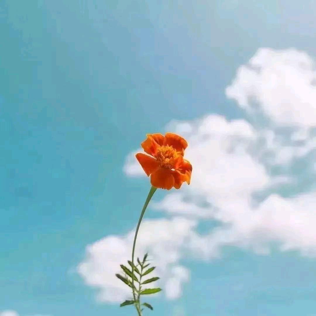 时光泡沫