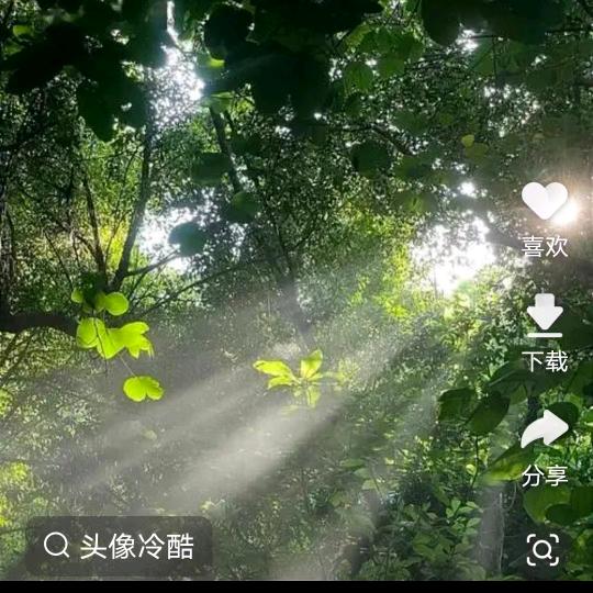 战狼