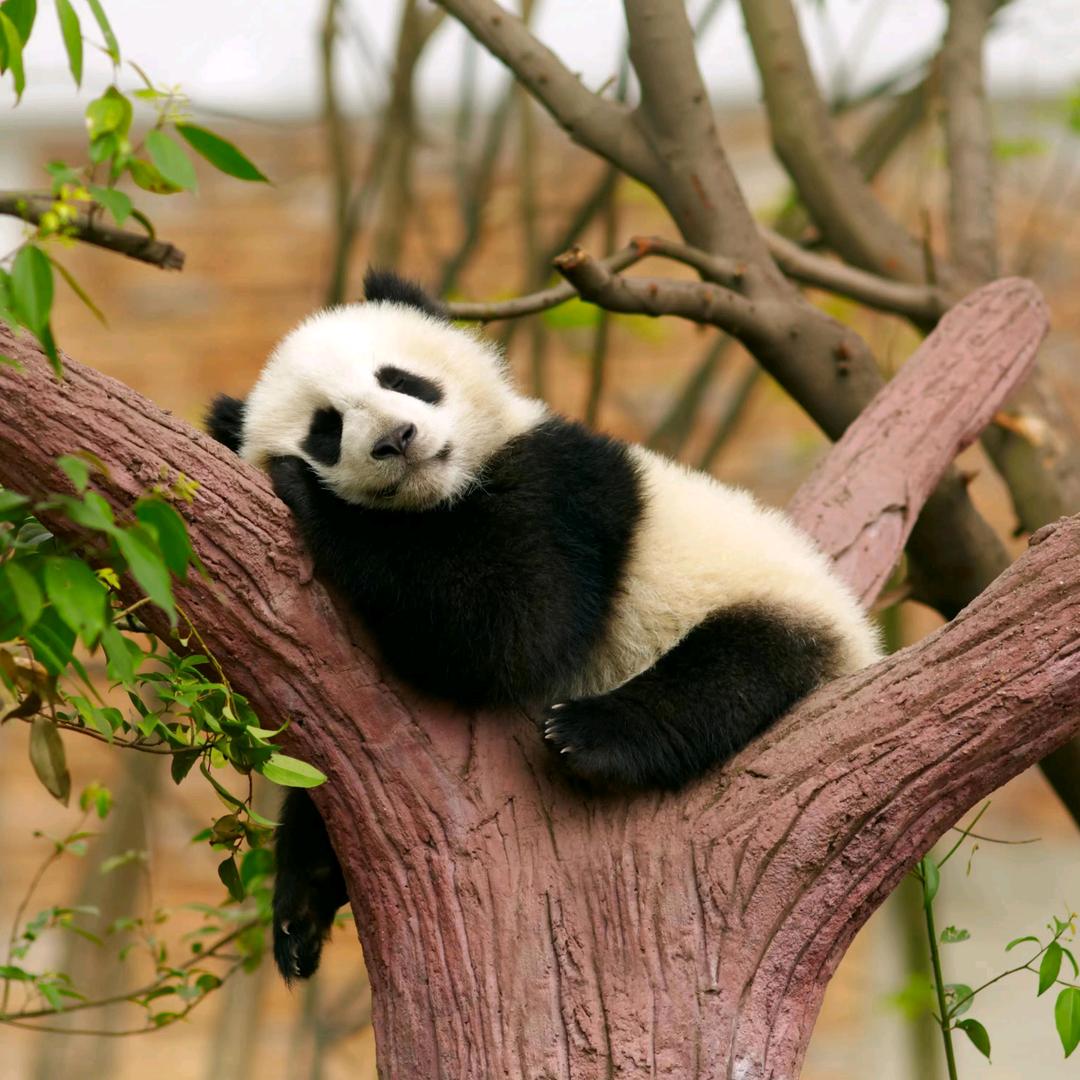 快乐每一天😊