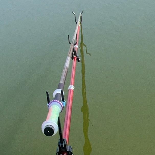 强仔（涨粉中，努力破万）