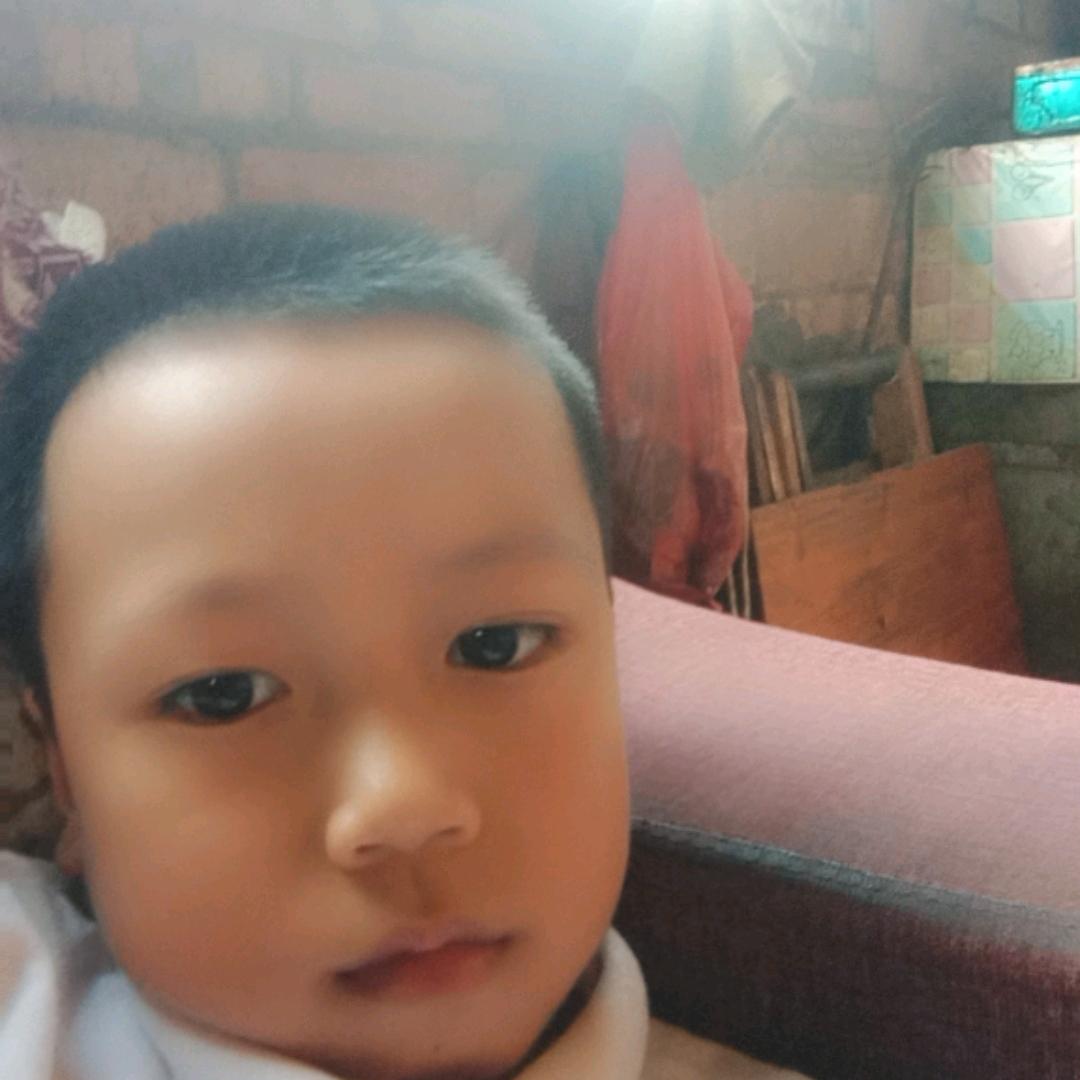 用户3152454979231