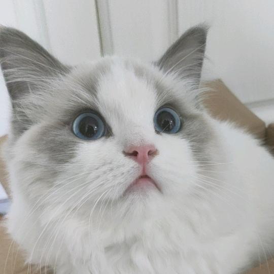 抹不掉的思念