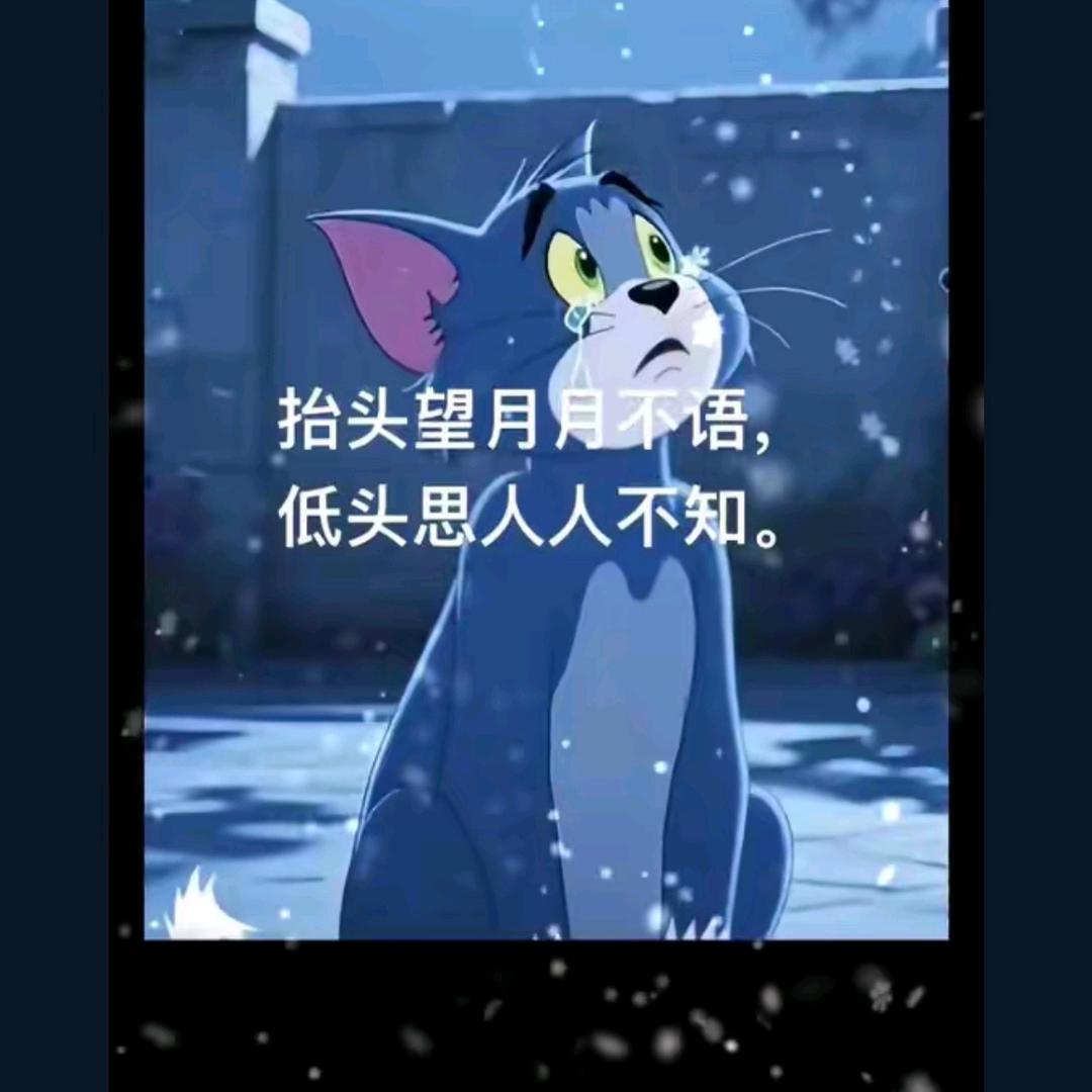 孤独只不过是传说