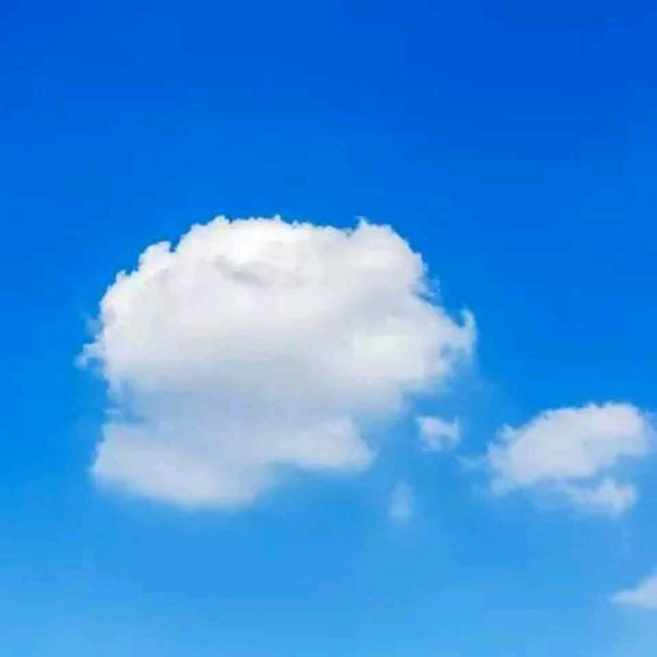 生生头像