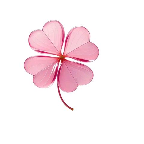 ༺🌸九月໊ཀྃএ᭄