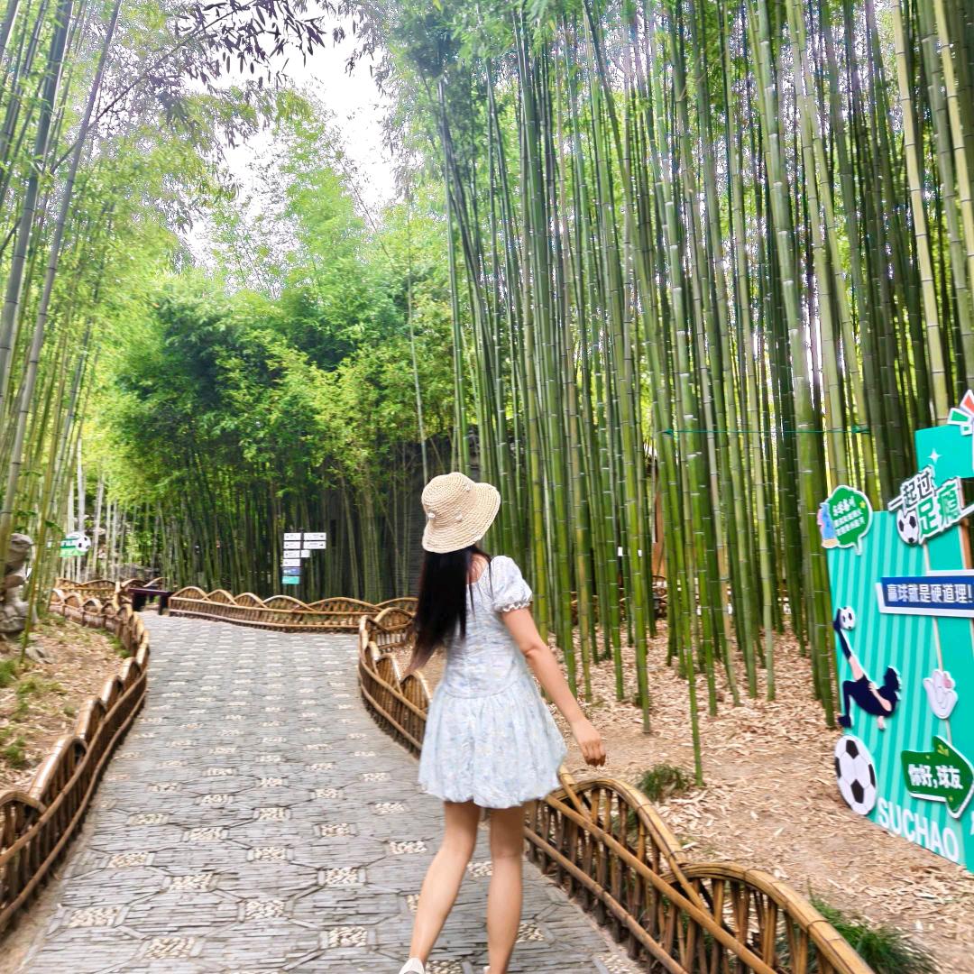 数星星的月亮🌙