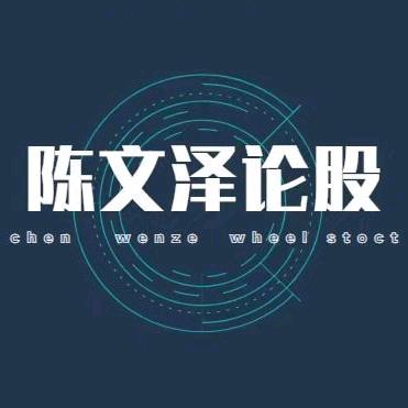 陈文泽论股