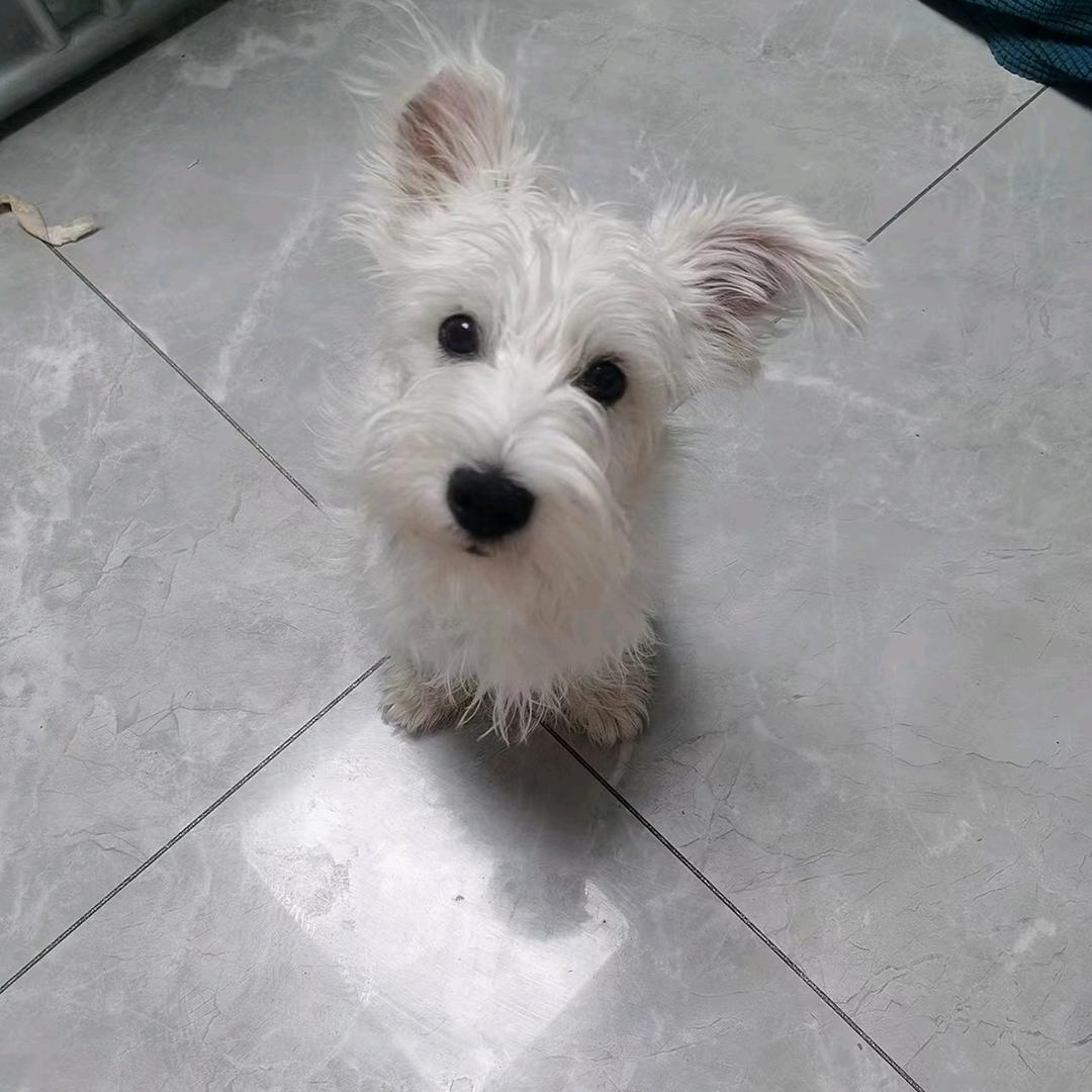 多宝帅哥