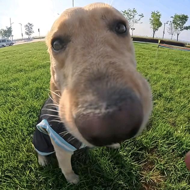 窦阿宁