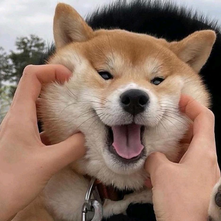 A昆明租房🏠Piupiu