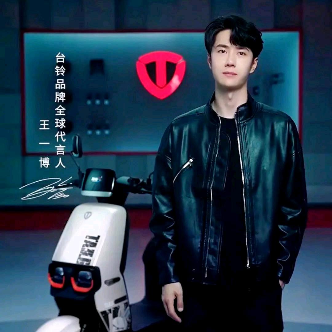 南顿台铃电动车两轮三轮