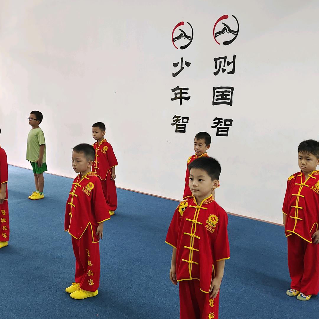 飞樾武术-王教练