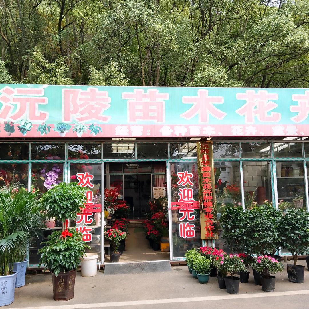 一切都好
