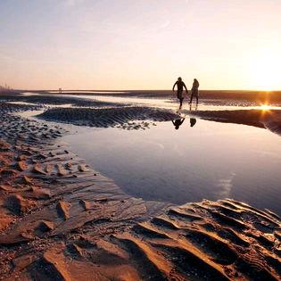 花开花落花满天♀♀