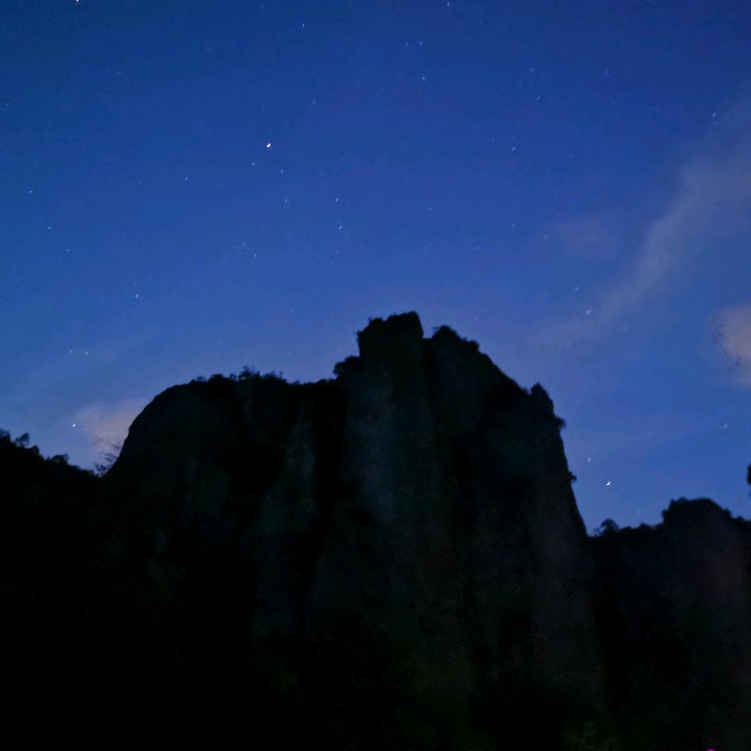 今天的🐳摸了吗