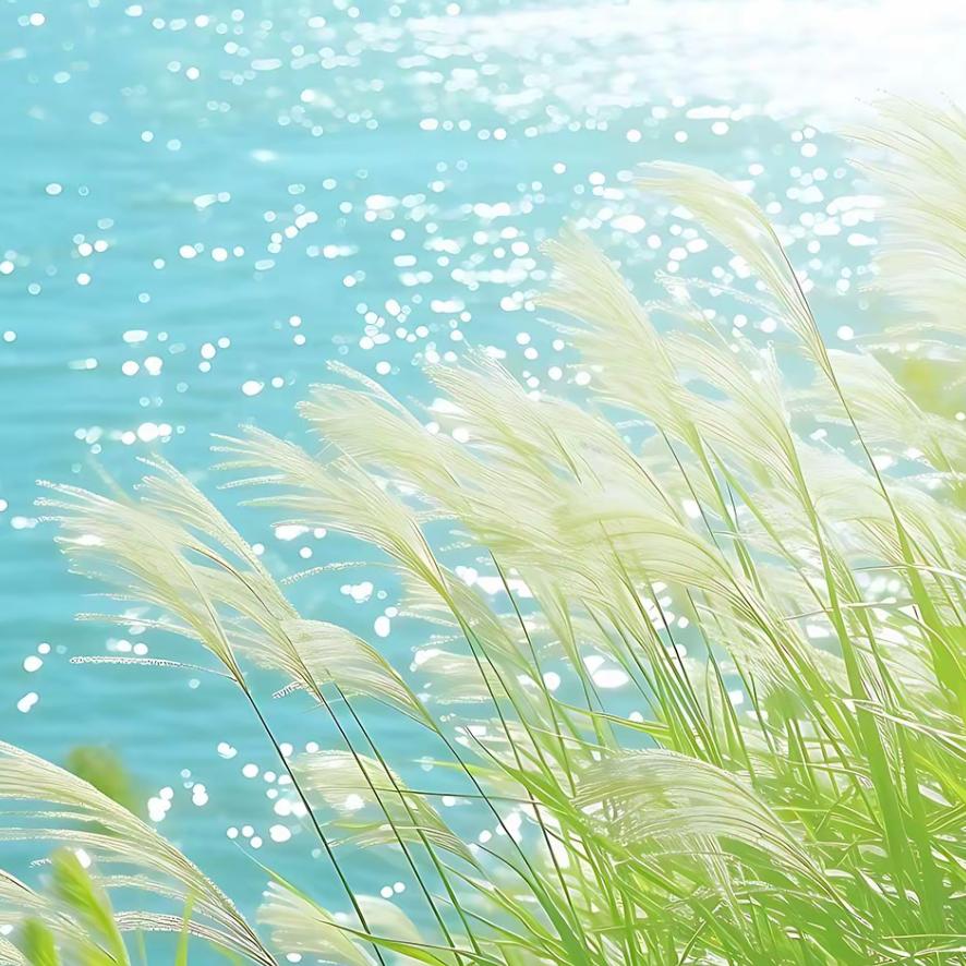 轻舟已过万重山