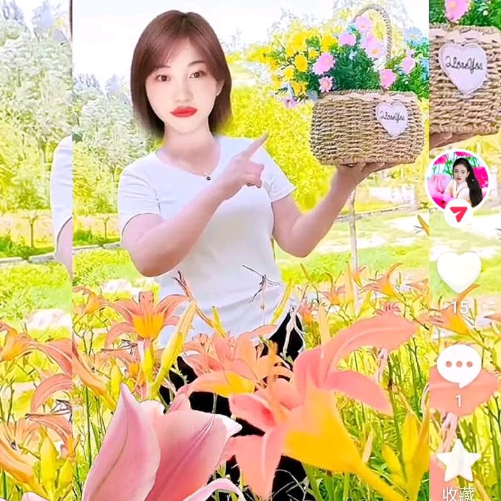 孟家二小姐