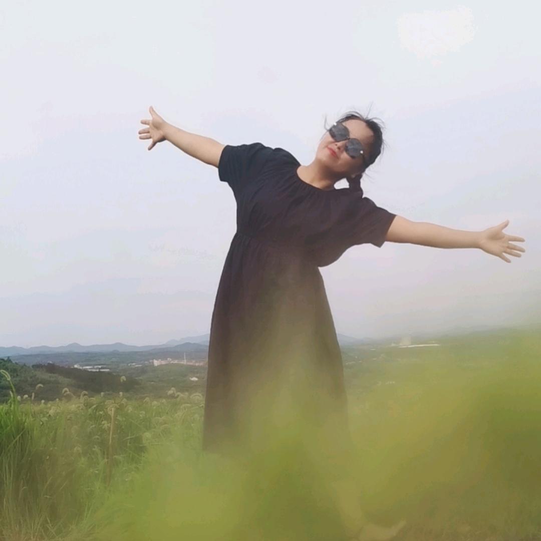 张总的快乐生活