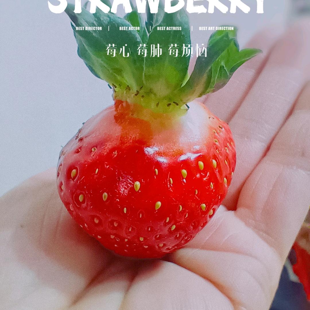 倩     请勿连赞