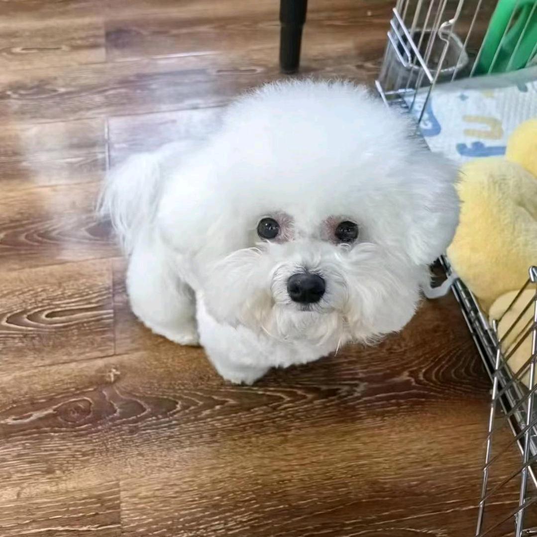 唐宁