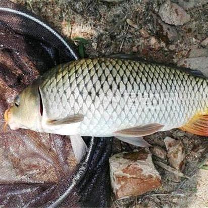 🌈熊- ̗̀(๑ᵔ⌔ᵔ๑)崽崽🌈