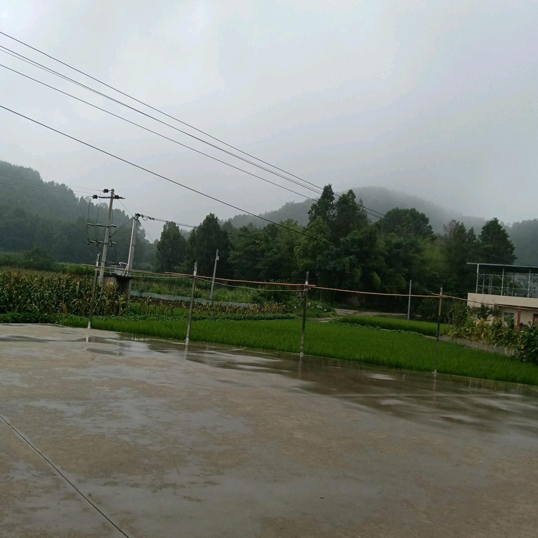 川厨