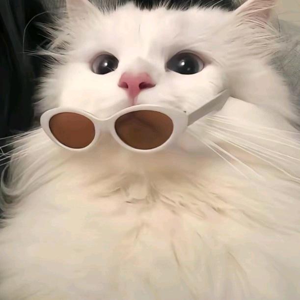 小温不瘟是吃货