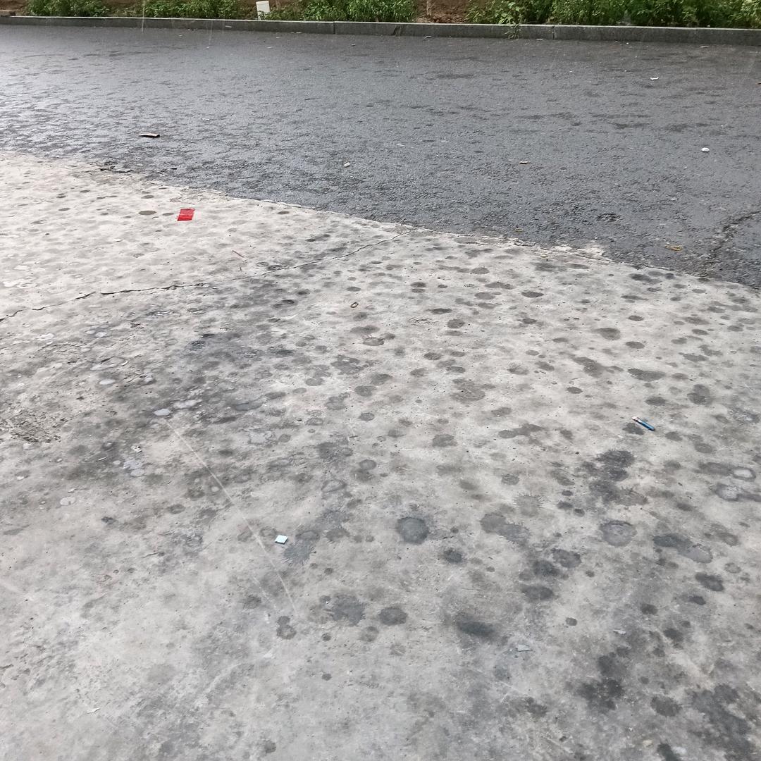 小狗是你老表