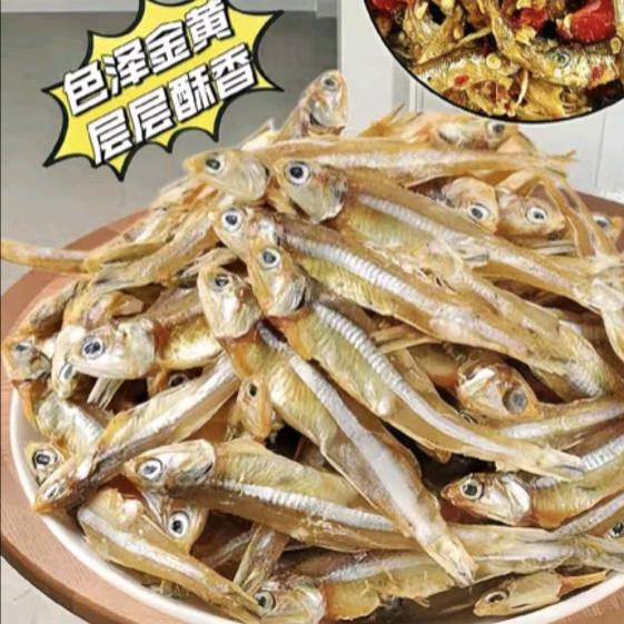 鱼你一起