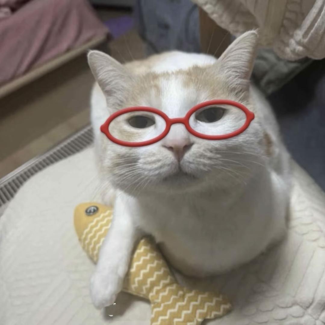 南瓜酱酱>ᴗo
