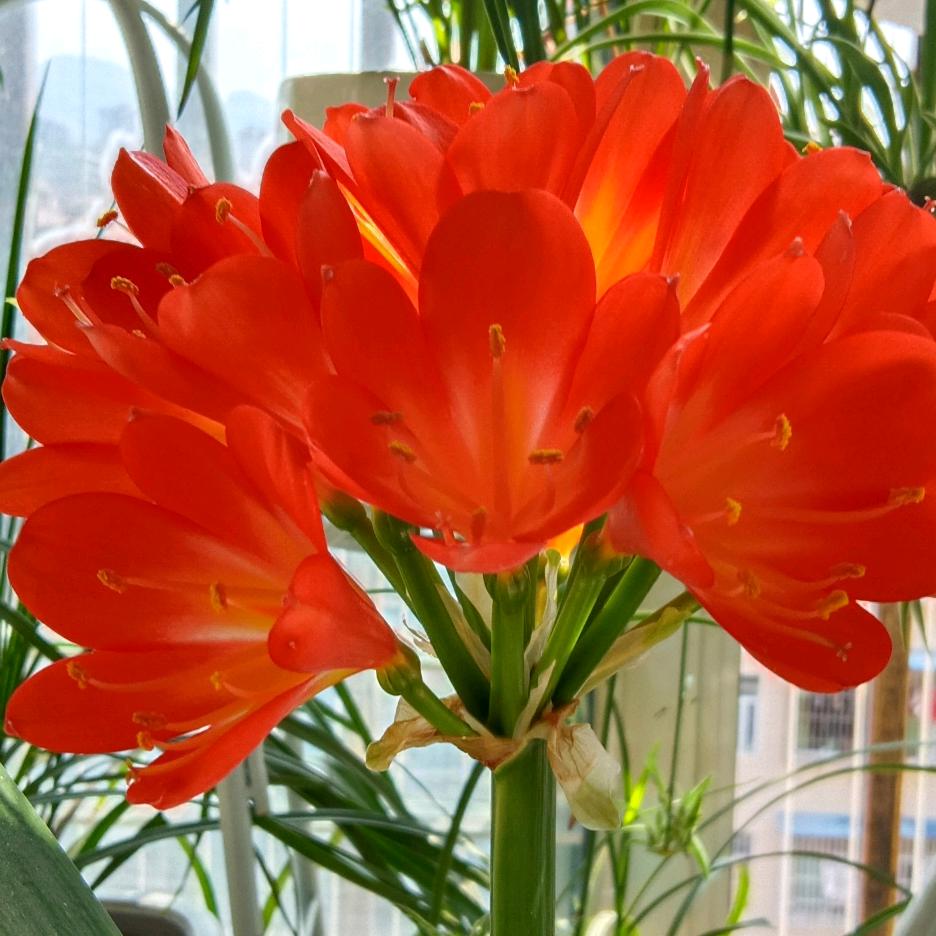 🌻🌺幸福快乐🙂