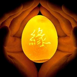 ☽✨邵东家☽✨