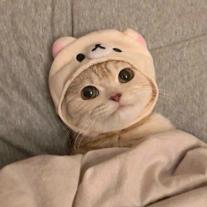 小罗🔮罗