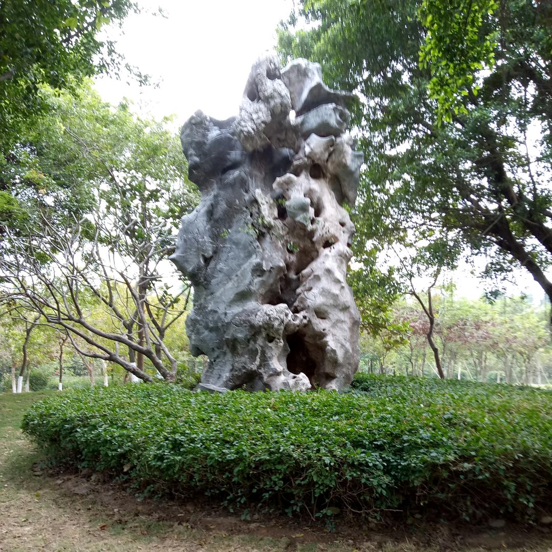 自由自在的我