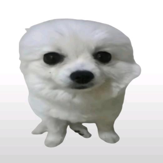 AAA樱桃批发典明总