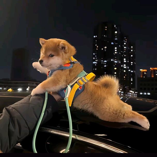 起飞喽