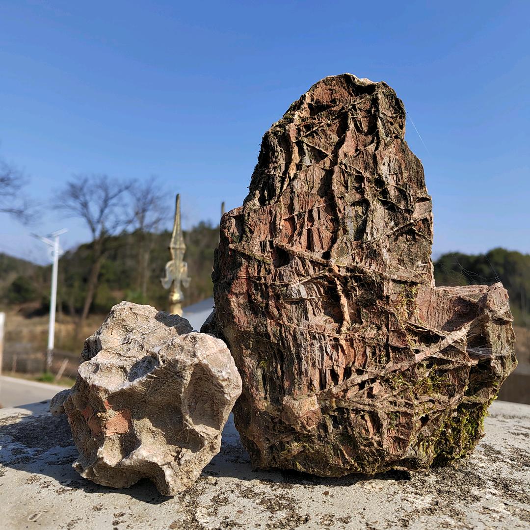 秋高气爽，乡村养殖人