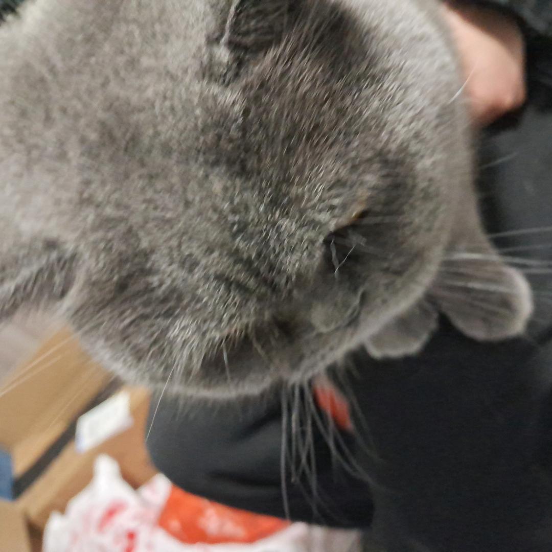 秀英青奥网络科技工作室