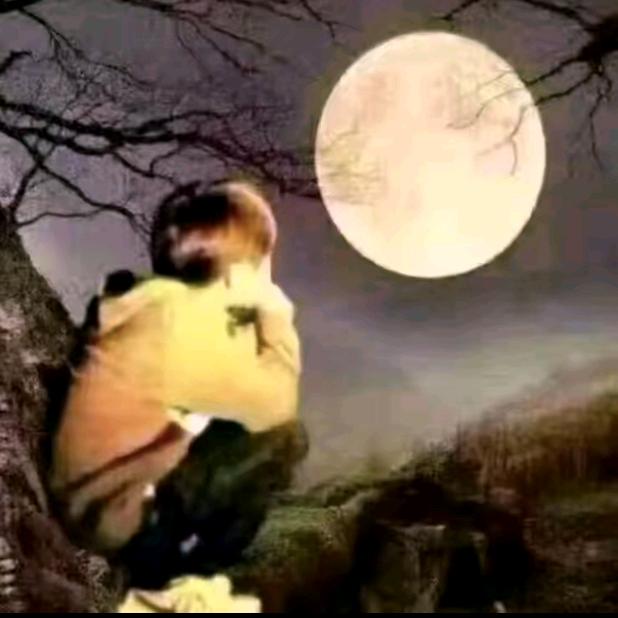 🌏🌙🌟