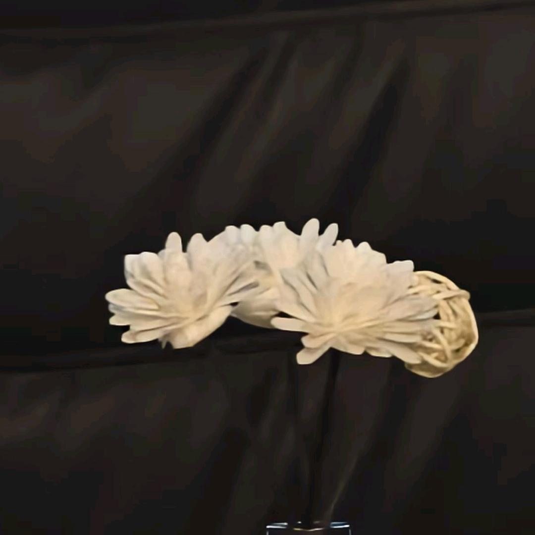 生活随拍，记录生活