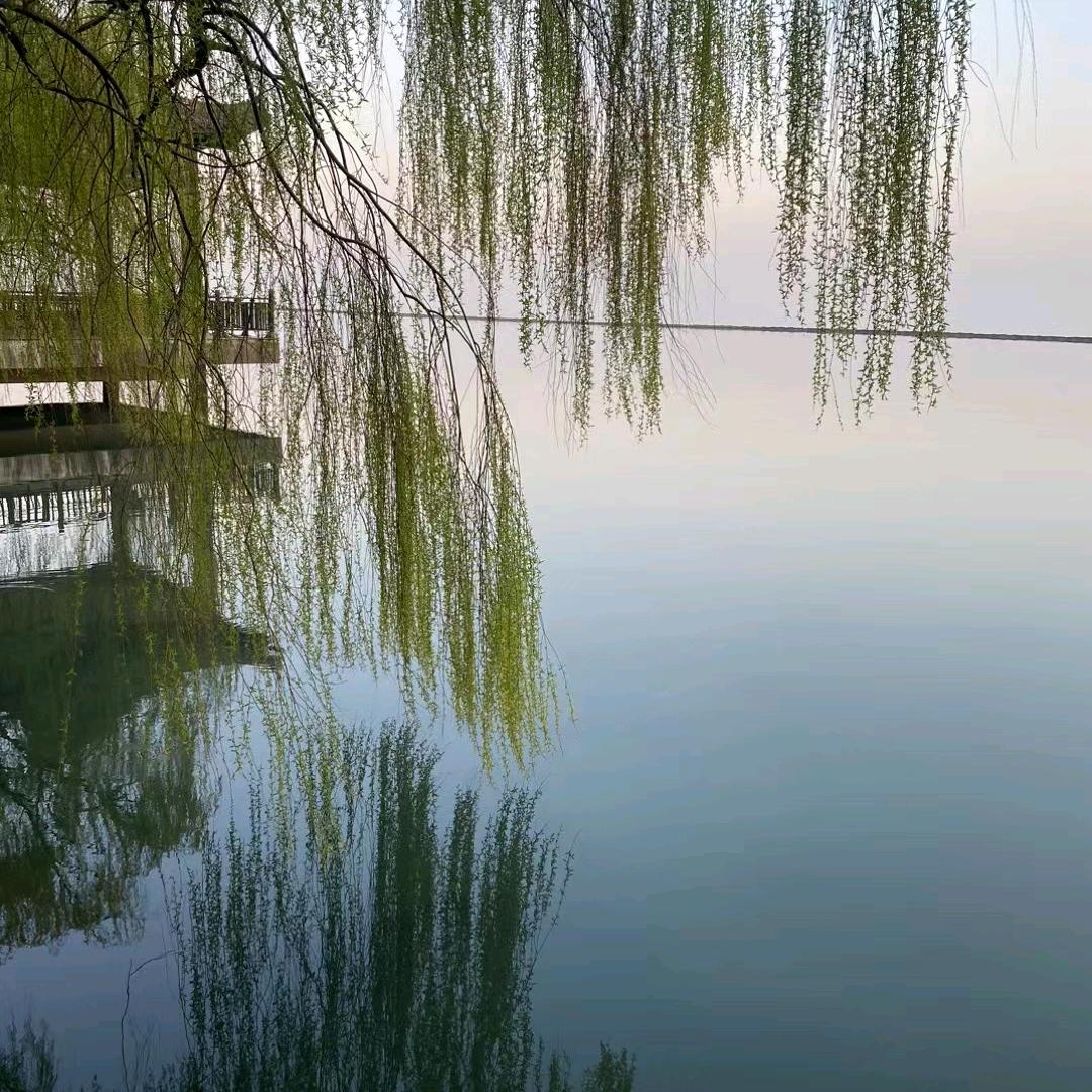 小陆门业