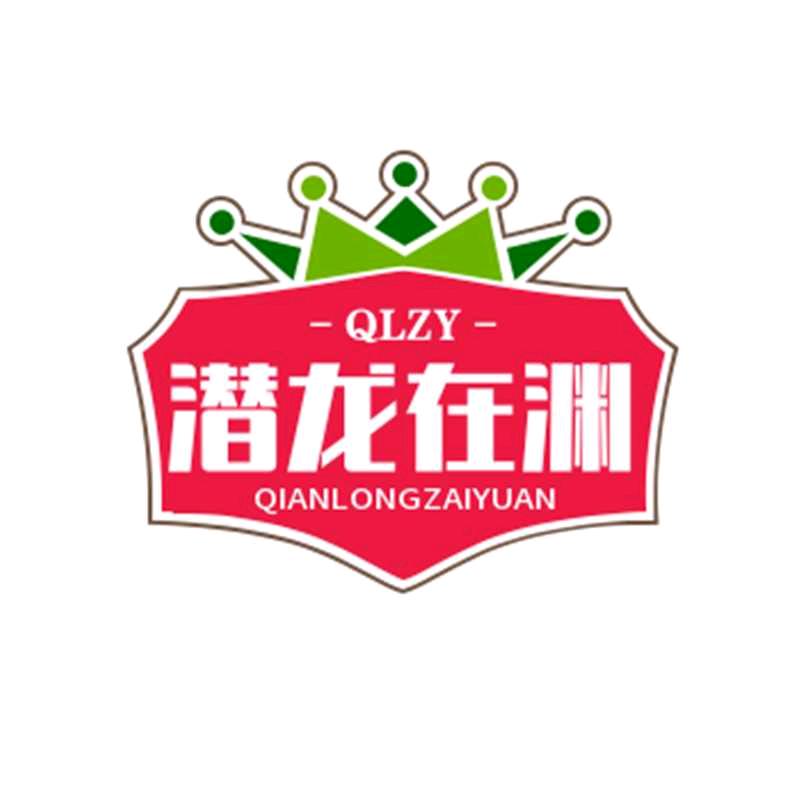 潜龙在渊2