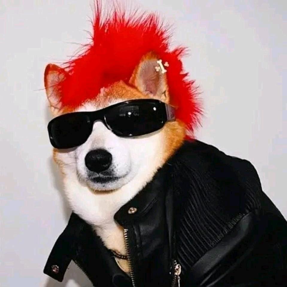 球球大作战顾冷（纯手搓战神）