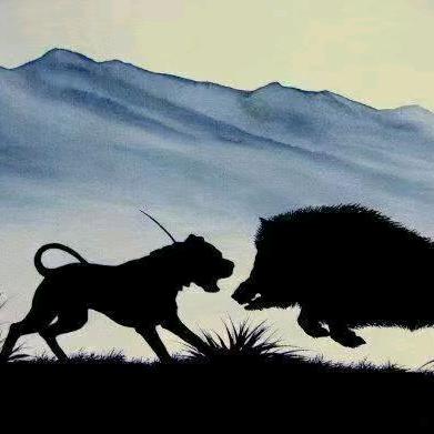 小金别斯满护农队！