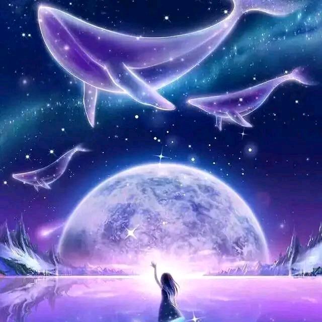 星 空